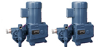 Neptune,Chemical,Pump,Company,Inc,Metering,Pumps,Feed,Systems